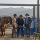 Image for article titled The Dutton civil war finally begins on Yellowstone's underwhelming mid-season finale
